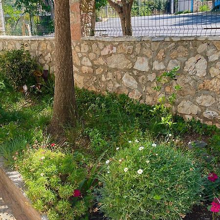 Guesthouse Shehu クサミル エクステリア 写真