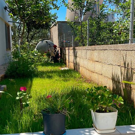 Guesthouse Shehu クサミル エクステリア 写真
